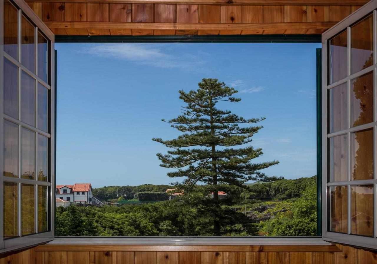 Вилла Vivenda Gomes Al Porto Martins Экстерьер фото